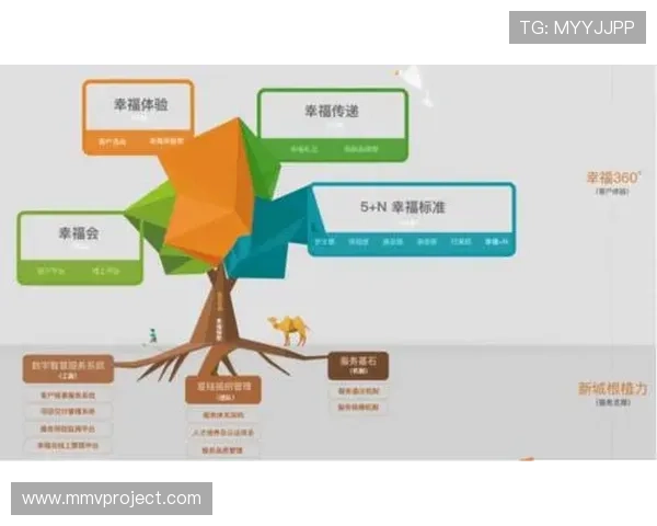 尊龙集团在国际合作中的成功案例与经验分享