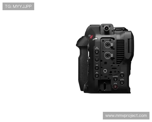 尊龙z6官网网页版安全登录方法及常见问题解决方案 尊龙z6官网网页版安全登录方法及常见问题解决方案